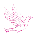 pigeon, dove - goÅ‚Ä…b