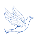 pigeon, dove - goÅ‚Ä…b