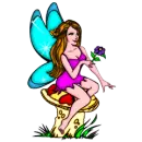 fairy