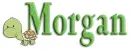 turtle morgan