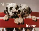 hi there friend