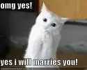 Cute