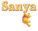 winnie pooh sanya
