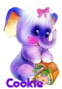 Cookie