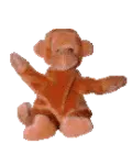 monkey 