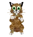 cute cat
