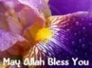 May Allah Bless You