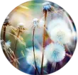 Bubble flower