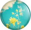 Blue sky
