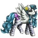 pony