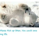 Polar bear sleeping