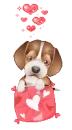 PUPPY WITH HEARTS