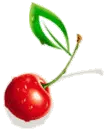 CHERRY