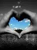 Heart.