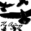 Fly Awayy