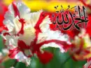 Alhamdulillah