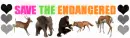 Save The Endangered