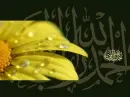 Alhamdulillah