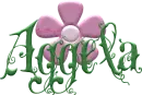 pink flower aggela