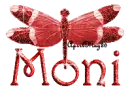 red dragonfly moni