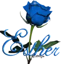 blue rose esther