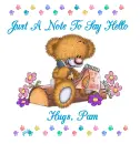 JUST A NOTE TO SAY HELLO HUGS, PAM