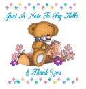 JUST A NOTE TO SAY HELLO & THANK YOU