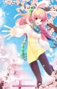 Sakura Bunny
