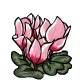 Fleaf on a Flower