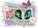 najwa