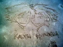 Hikaru-Kaoru
