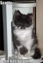 scotty, i has beam?