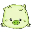 Cute Pig