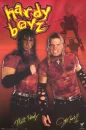 the hardy boys