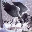 pegasus