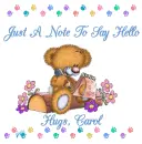 JUST A NOTE TO SAY HELLO HUGS, CAROL