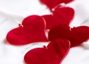 hearts