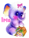 Iris