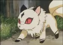 kirara