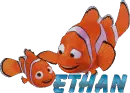 Nemo 