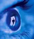eye