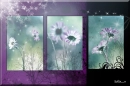 purple flower