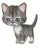 Cat :)