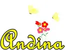 Andina