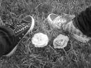 rose emo