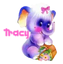 Tracy