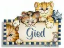 cats