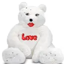 Teddy