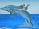 DOLPHIN RIDE