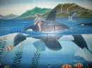 DOLPHIN RIDE 2